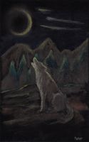 Howling at Midnight